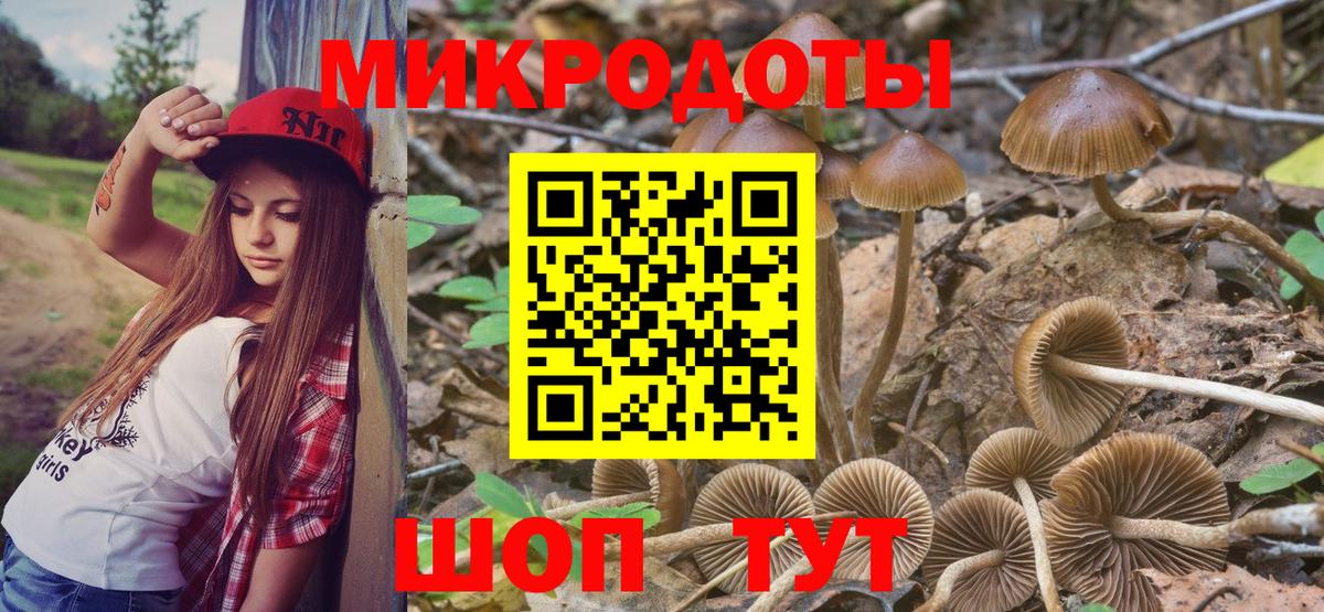 Ростов Великий  где купить   Вход с VPN  Галлюциногенные грибы ЛСД 